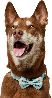 Show full view: Frisco Christmas Peppermint Print Dog Collar with Removable Bow, L/XL: 18 to 26-in neck, 1-in wide slide 3 of 10