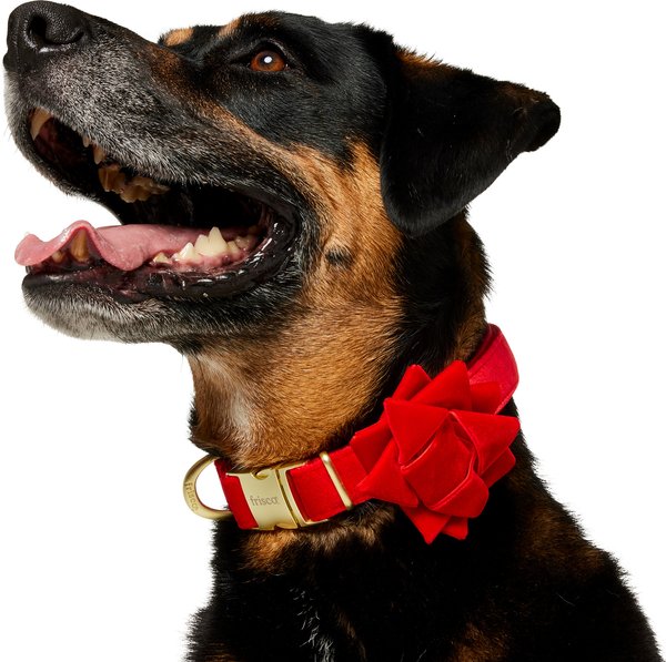 Show full view: Frisco Velvet Dog Collar with Removable Gift Bow, L/XL: 18 to 26-in neck, 1-in wide slide 3 of 10