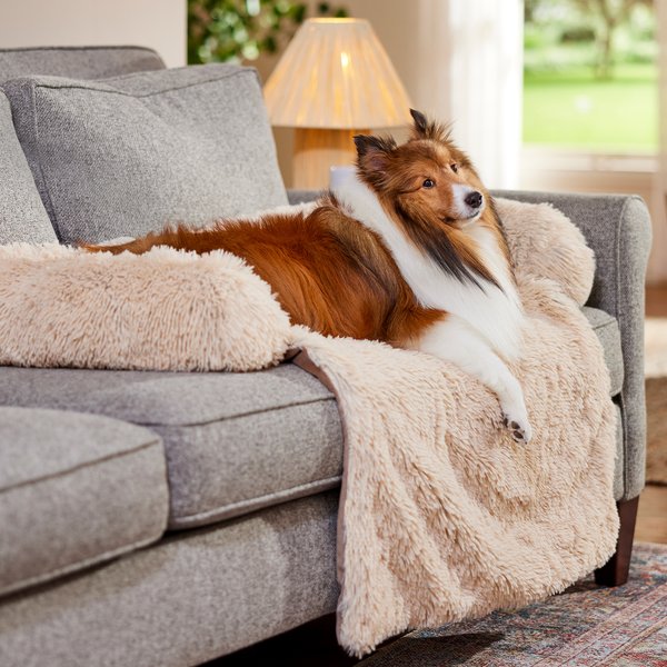 Puppy Keeping Dog Hair Off Couch FRISCO Faux Long Fur Bolster Cat