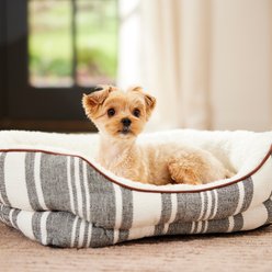 Frisco Farmhouse Double Bolster Dog & Cat Cuddler, Small
