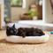 Show in main carousel: Frisco Self-Warming Bolster Kitten Bed, Cream slide 1 of 8