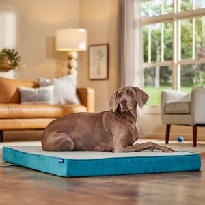 CARHARTT Pillow Dog Bed with Removable Cover, Dark Brown, Medium