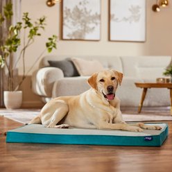 Frisco Cooling Orthopedic Pillow Dog Bed with Removable Cover, Blue, X-Large