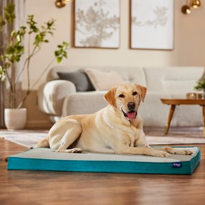 Frisco Cooling Orthopedic Pillow Dog Bed with Removable Cover, Blue, X-Large