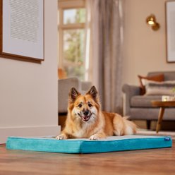 Frisco Cooling Orthopedic Pillow Dog Bed with Removable Cover, Blue, Large