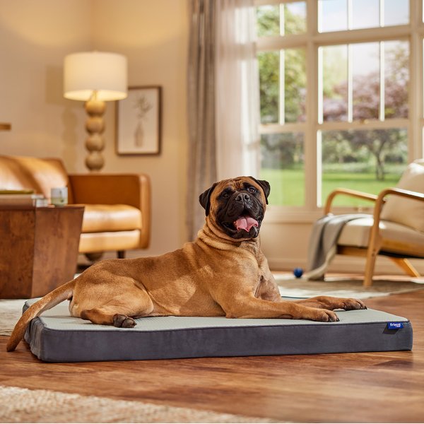 Show full view: Frisco Cooling Orthopedic Pillow Dog Bed w/Removable Cover, Gray, XX-Large slide 1 of 9