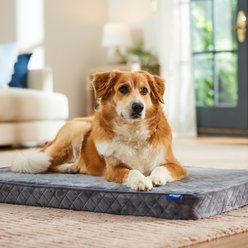 Frisco Quilted Orthopedic Pillow Lounger Cat & Dog Bed with Removable Cover, Gray, X-Large