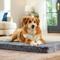Show in main carousel: Frisco Quilted Orthopedic Pillow Lounger Cat & Dog Bed with Removable Cover, Gray, X-Large slide 1 of 9