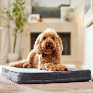 Frisco Quilted Orthopedic Pillow Lounger Cat & Dog Bed with Removable Cover, Gray, Large