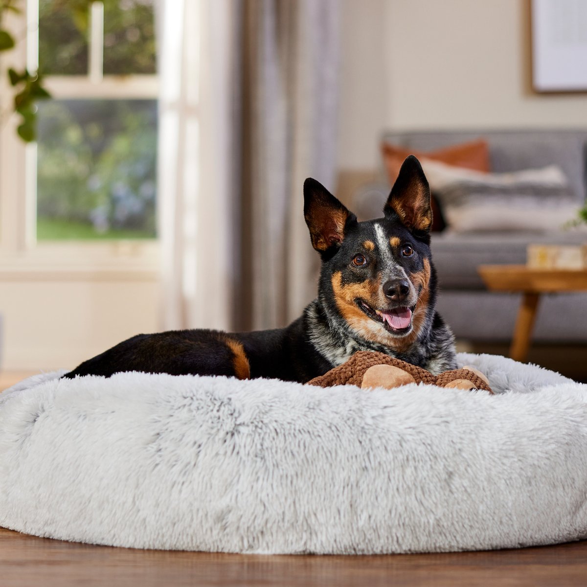 A large dog lying on a silver faux fur donut bed.