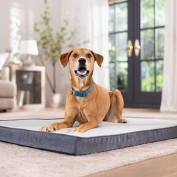 Frisco Cooling Orthopedic Pillow Dog Bed with Removable Cover, Gray, X-Large