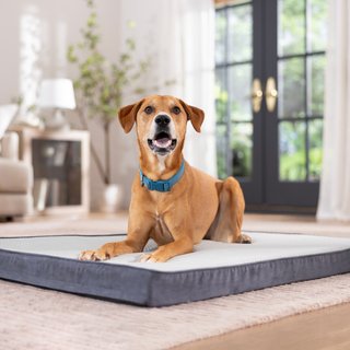 Frisco Cooling Orthopedic Pillow Dog Bed with Removable Cover, Gray, X-Large slide 1 of 8