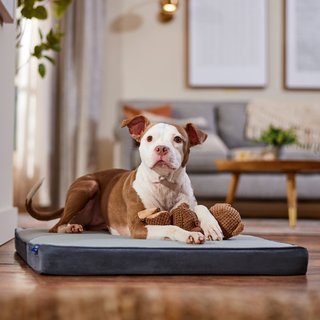 Frisco Cooling Orthopedic Pillow Dog Bed with Removable Cover, Gray, Large slide 1 of 8
