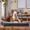 Show in main carousel: Frisco Cooling Orthopedic Pillow Dog Bed with Removable Cover, Gray, Large slide 1 of 9