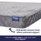 Show in main carousel: Frisco Quilted Orthopedic Pillow Lounger Cat & Dog Bed with Removable Cover, Gray, X-Large slide 4 of 9
