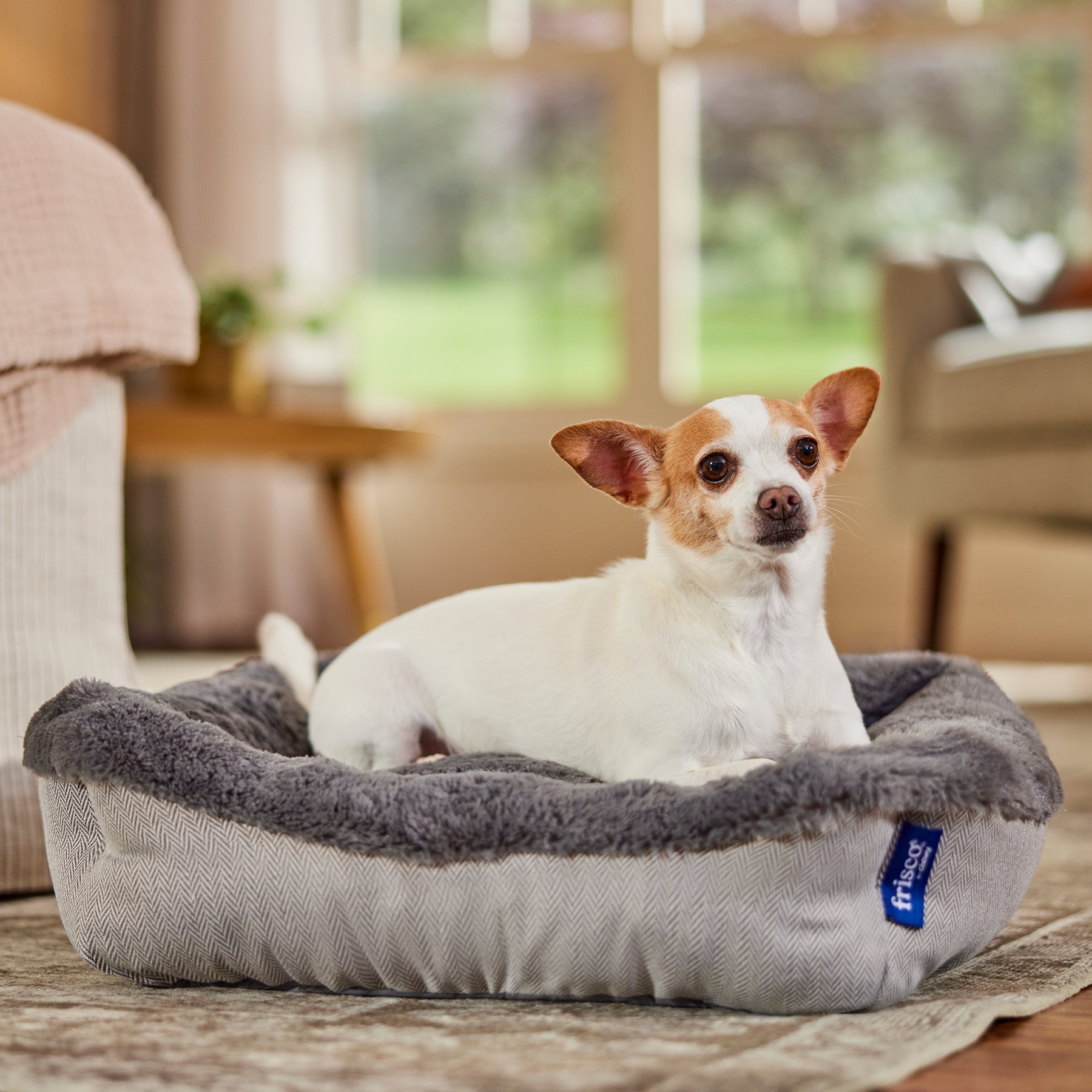 Frisco Herringbone Cuffed Cuddler Dog & Cat Bed, Grey, X-Small