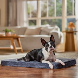Frisco Quilted Orthopedic Pillow Lounger Cat & Dog Bed with Removable Cover, Gray, Medium