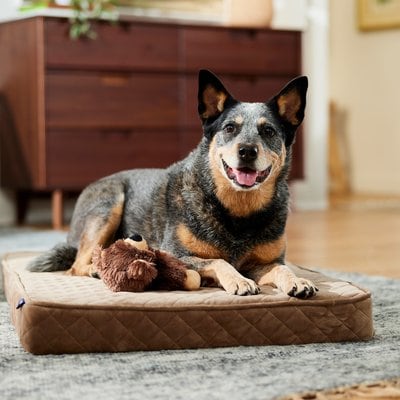 Frisco Frisco Quilted Orthopedic Pillow Lounger Cat & Dog Bed with Removable Cover, Beige, Large