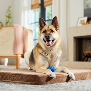 Frisco Quilted Orthopedic Pillow Lounger Cat & Dog Bed with Removable Cover, Beige, XX-Large