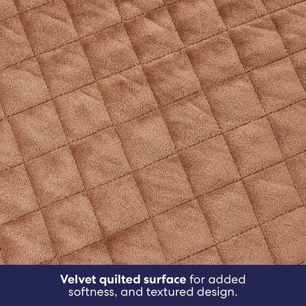 Show full view: Frisco Quilted Orthopedic Pillow Lounger Cat & Dog Bed with Removable Cover, Beige, Large slide 3 of 9