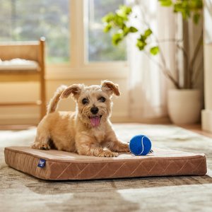 Frisco Quilted Orthopedic Pillow Lounger Cat & Dog Bed with Removable Cover, Beige, Small