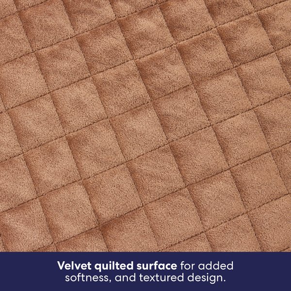 Show full view: Frisco Quilted Orthopedic Pillow Lounger Cat & Dog Bed with Removable Cover, Beige, Small slide 4 of 10