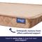 Show in main carousel: Frisco Quilted Orthopedic Pillow Lounger Cat & Dog Bed with Removable Cover, Beige, Small slide 5 of 10