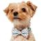 Show in main carousel: Frisco Christmas Peppermint Print Dog Collar with Removable Bow, XS: 8 to 12-in neck, 5/8-in wide slide 3 of 10