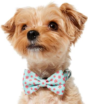 Show full view: Frisco Christmas Peppermint Print Dog Collar with Removable Bow, XS: 8 to 12-in neck, 5/8-in wide slide 3 of 10