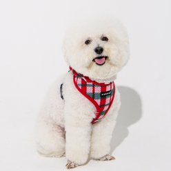 Puppia Festive Hooded Over-The-Head Adjustable No-Pull Dog Harness, Red, Small slide 2 of 4