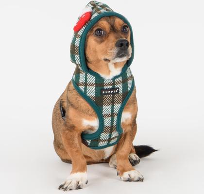 Show full view: Puppia Festive Hooded Over-The-Head Adjustable No-Pull Dog Harness, Green, Small slide 3 of 4