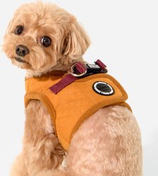 Puppia Irvin Vest Step-In Winter No-Pull Dog Harness, Mustard, Medium slide 2 of 5