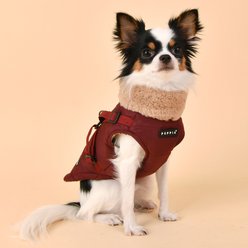 Puppia Donavan Winter No-Pull Dog Harness Coat, Wine, Large slide 2 of 4