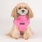 Show in main carousel: Puppia Wilkes Winter No-Pull Dog Harness Coat, Pink, Small slide 4 of 6