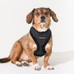 Puppia Cynthia A Over-The-Head Adjustable No-Pull Dog Harness