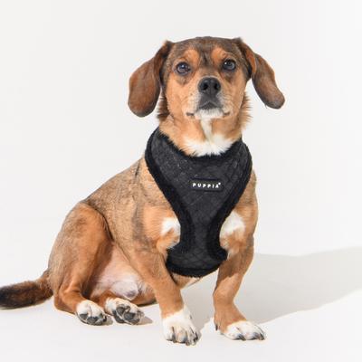 Show full view: Puppia Douglas Over-The-Head Adjustable No-Pull Dog Harness, Black, X-Large slide 3 of 4