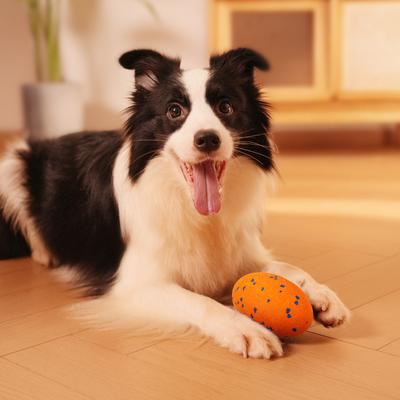 Show full view: Cheerble ETPU Modern Interactive Rugby Ball Squeaky Dog Toy, Orange slide 9 of 11