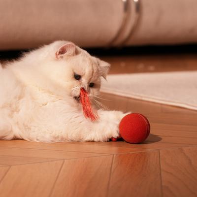 Show full view: Cheerble WIcked Ball Duo2 Bird Chirping Interactive Cat Toy, Red slide 9 of 10