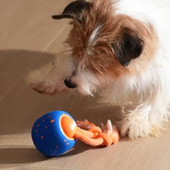 Cheerble Wicked Ball Rolly Automatic Rotating Dog Toy, Blue slide 2 of 9