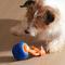 Show in main carousel: Cheerble Wicked Ball Rolly Automatic Rotating Dog Toy, Blue slide 9 of 9