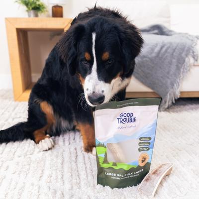 Show full view: Good Trouble Elk Antler Split Dog Treat, Large slide 5 of 5