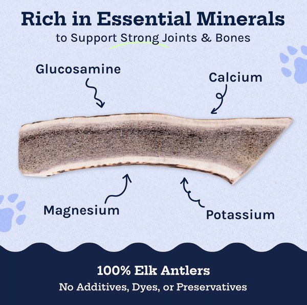 Good Trouble Elk Antler Whole Dog Treat, Medium