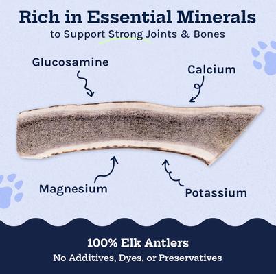 Show full view: Good Trouble Elk Antler Split Dog Treats, Medium, 2 count slide 4 of 5