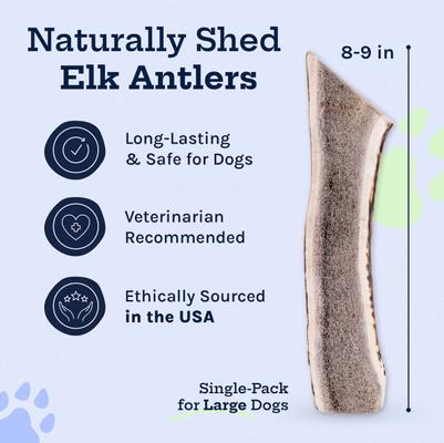 Show full view: Good Trouble Elk Antler Split Dog Treat, Large slide 3 of 5