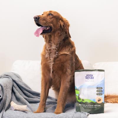 Show full view: Good Trouble Elk Antler Split Dog Treat, Medium slide 5 of 5