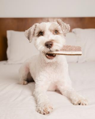 Show full view: Good Trouble Elk Antler Split Dog Treat, Small slide 5 of 5