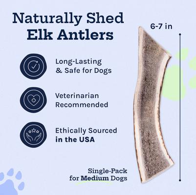 Show full view: Good Trouble Elk Antler Split Dog Treat, Medium slide 3 of 5