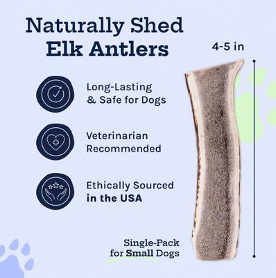 Show full view: Good Trouble Elk Antler Split Dog Treat, Small slide 3 of 5