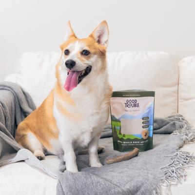 Show full view: Good Trouble Deer Antler Whole Dog Treat, Small slide 6 of 6