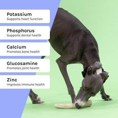 Show full view: Good Trouble Deer Antler Whole Dog Treat, Large slide 3 of 6